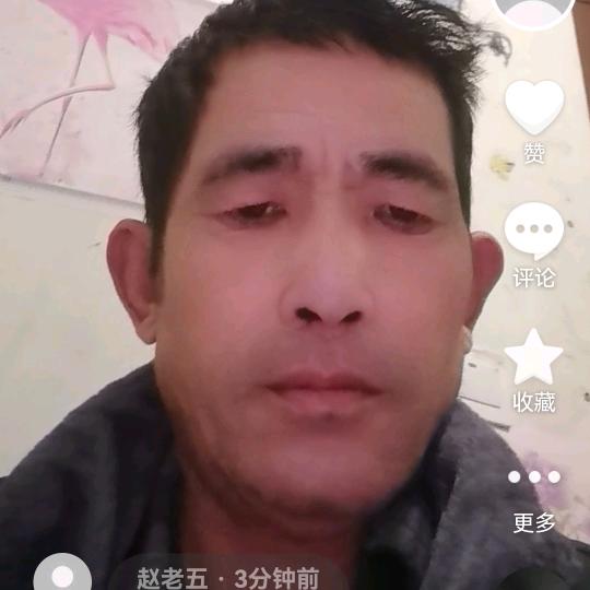 赵哥2