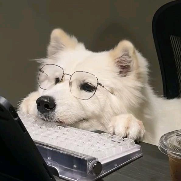 hello world