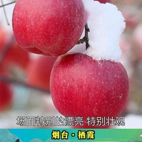 快乐于哥平平安安
