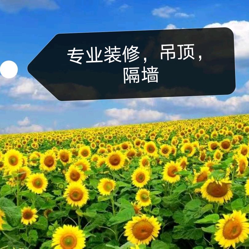 小吴装饰（海南全岛接单）