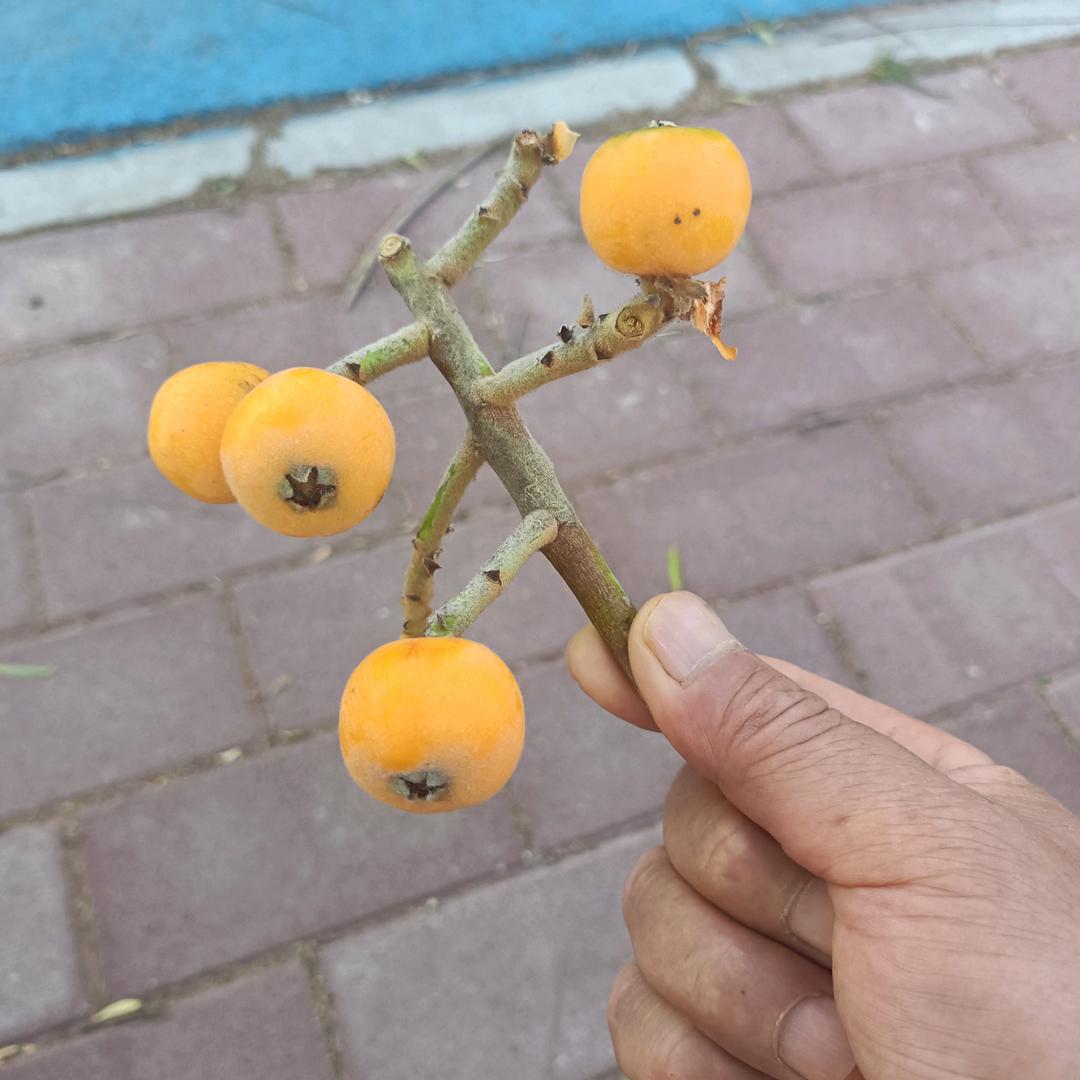 最熟悉的陌生人