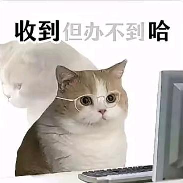 国服第一菜狗