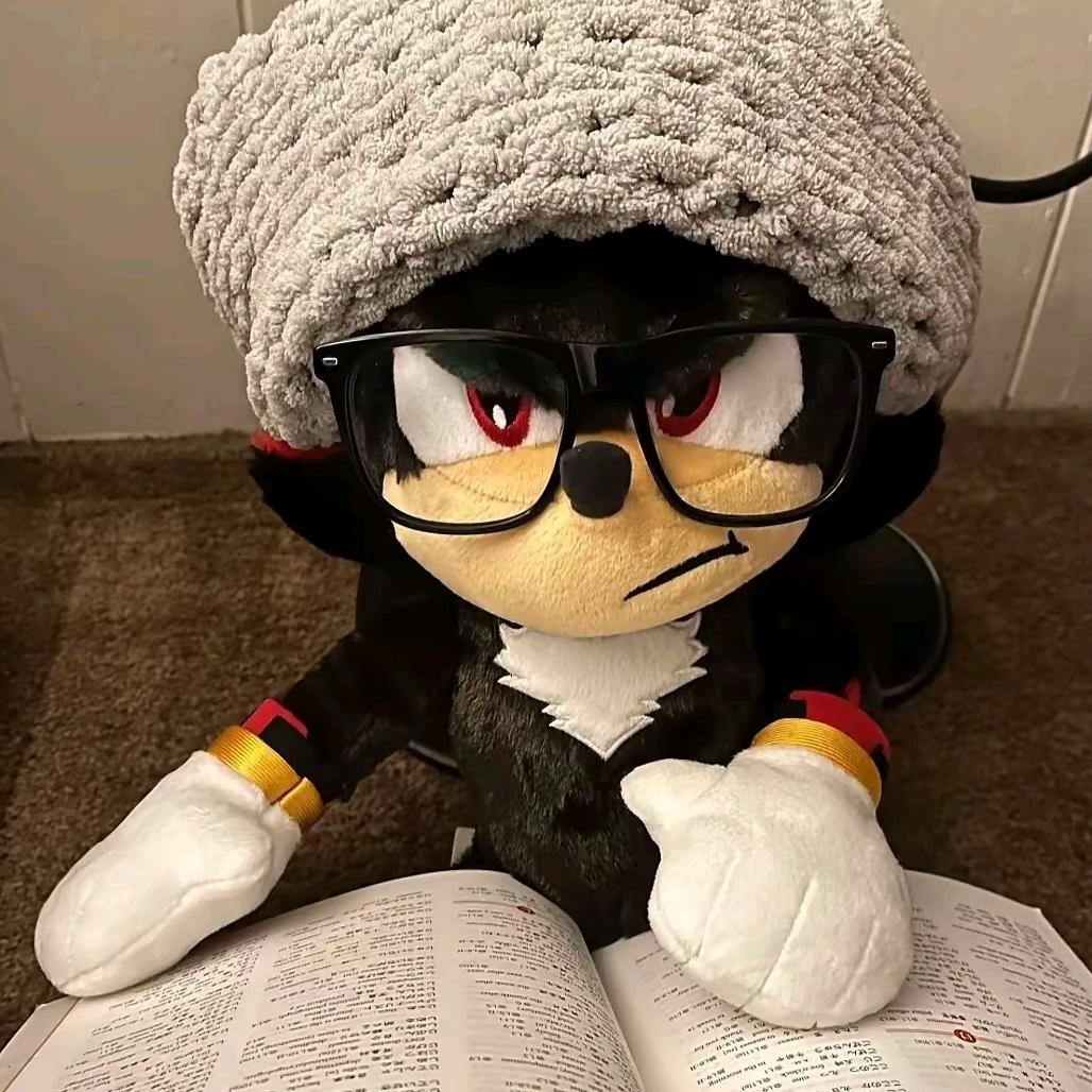不买车不改名❛ᴗ❛