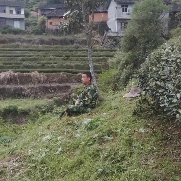 茶老周
