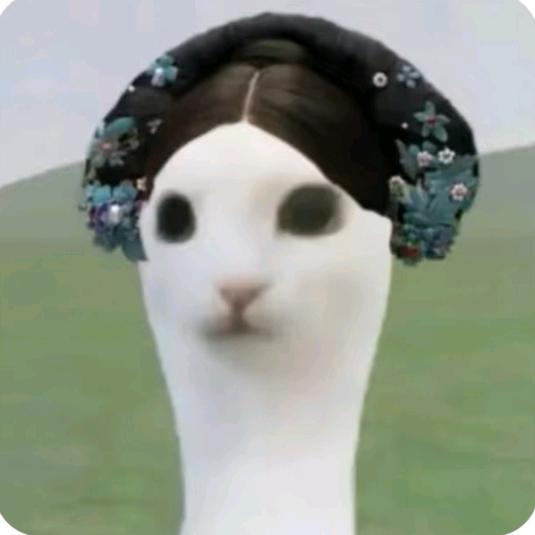 艾思可可