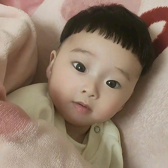 小杨不会修车呀