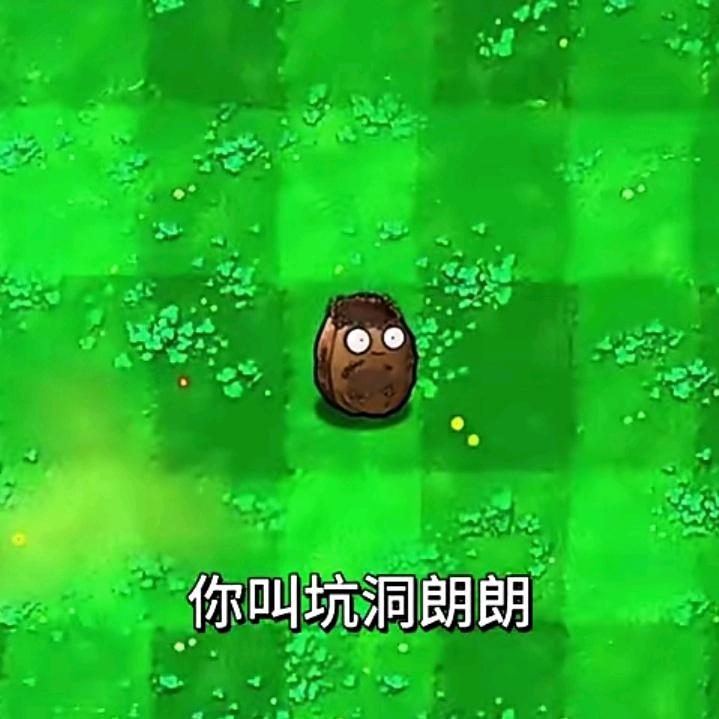 我真的很牛