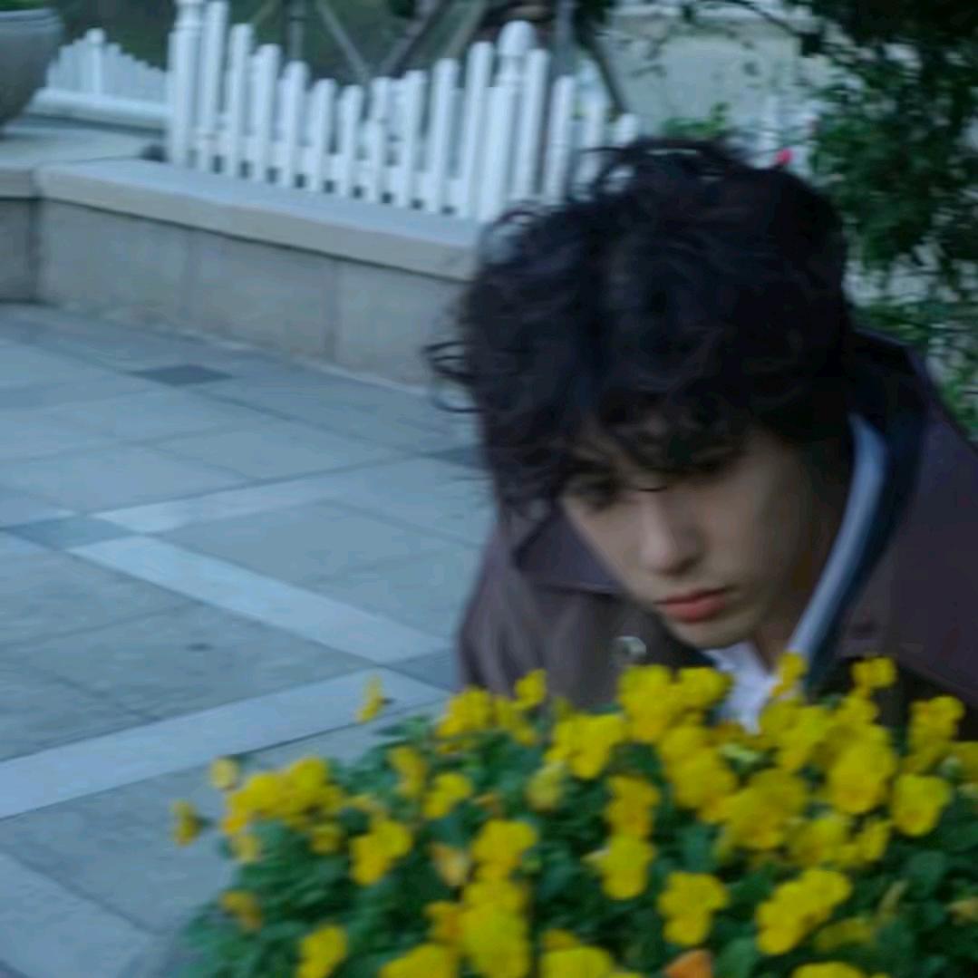 小狗还在摇尾巴