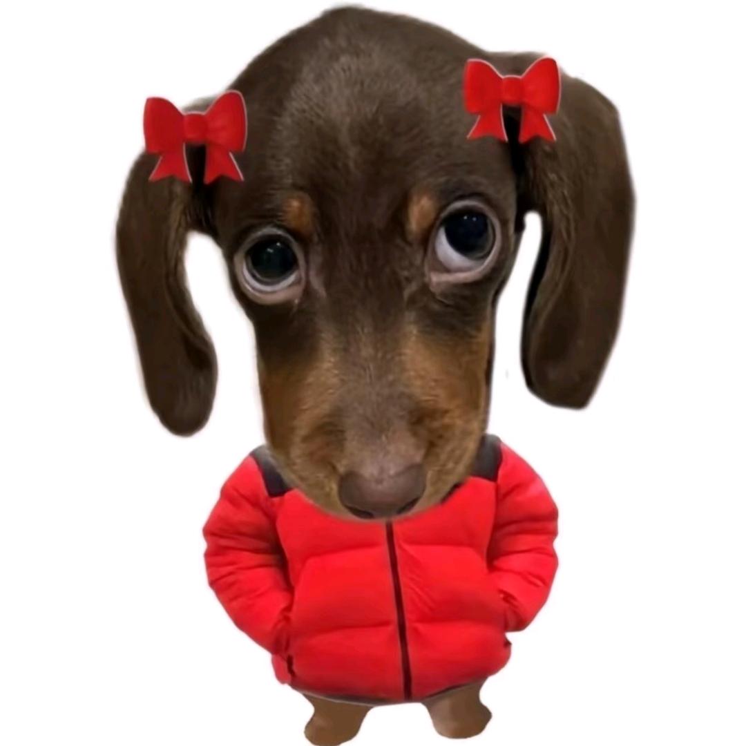 榴莲赌徒