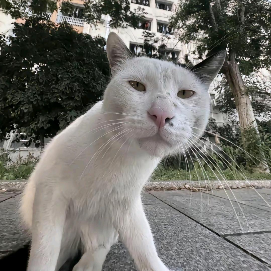 末雨