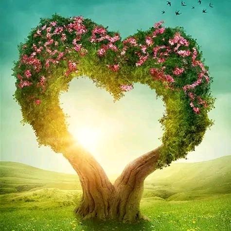 我想有个美好的家