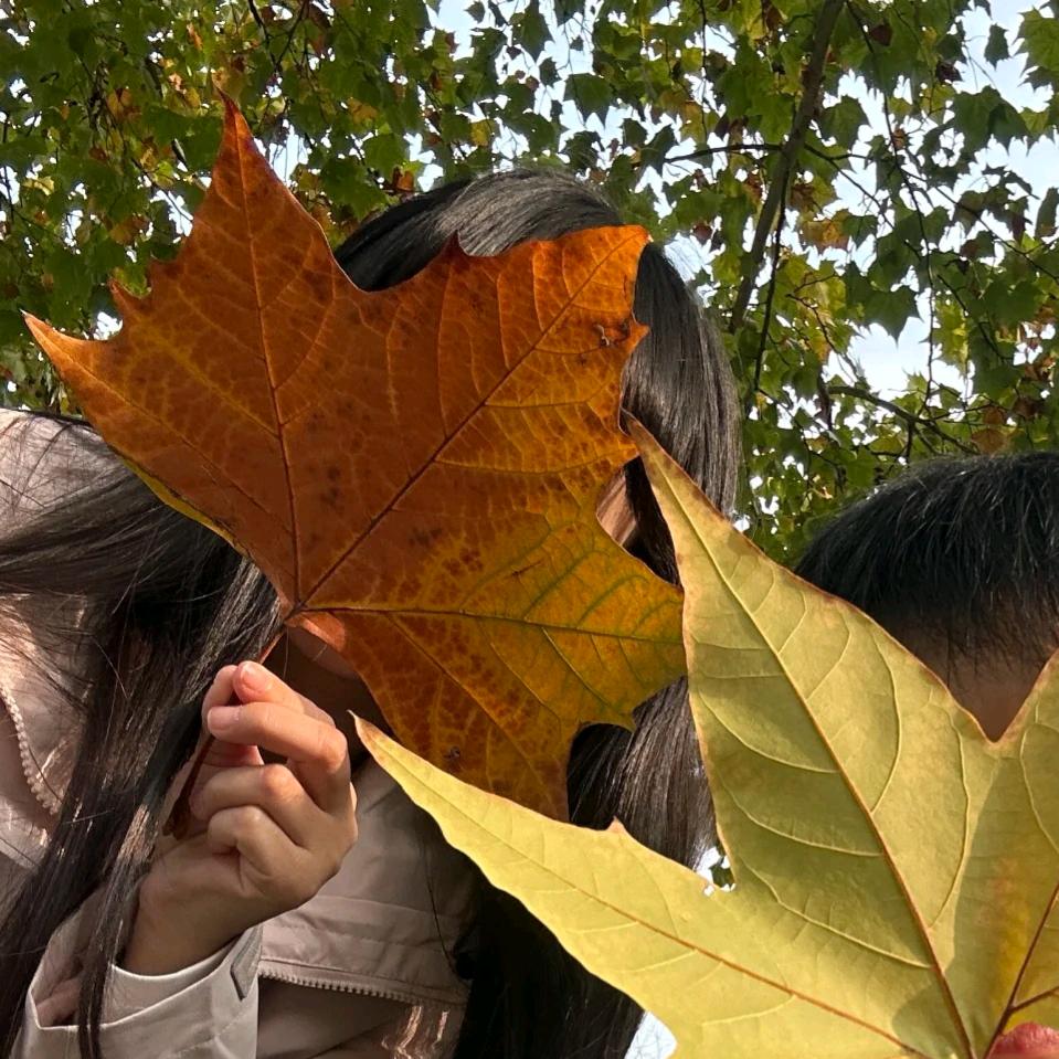 不喝啵霸