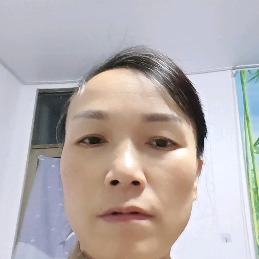 四菊
