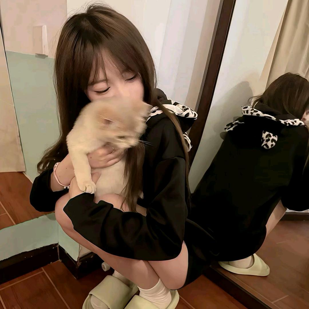 呆呆猫^