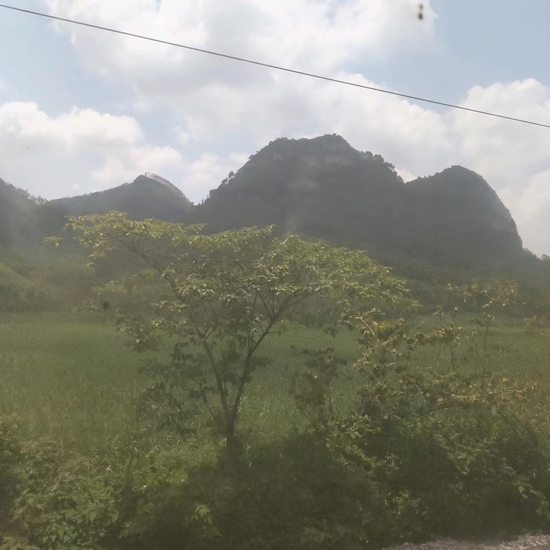 我曾经忘记你