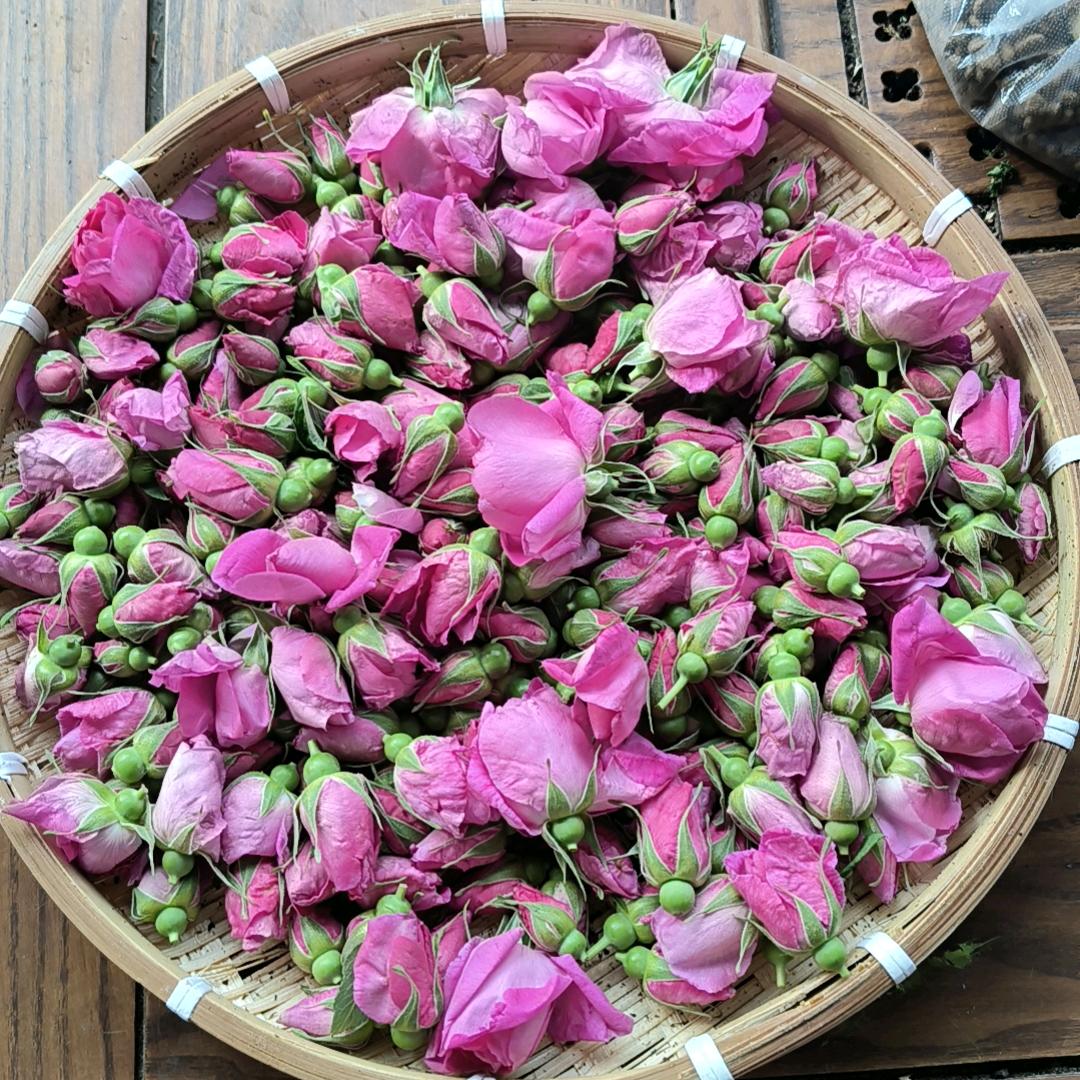盛夏的果实