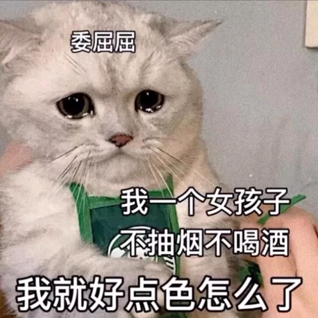 aileno（互赞必回）