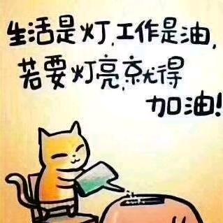 努力搞钱 ，其它都是扯蛋