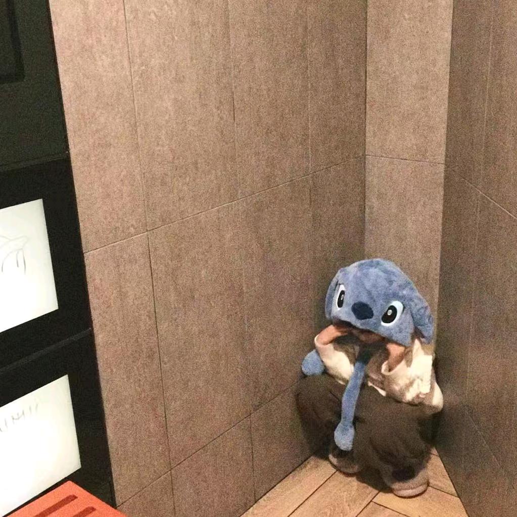 小懒猪