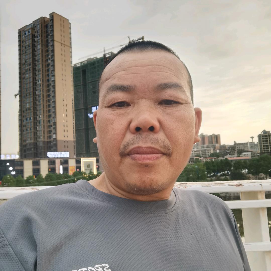 孤独陪伴（四哥）