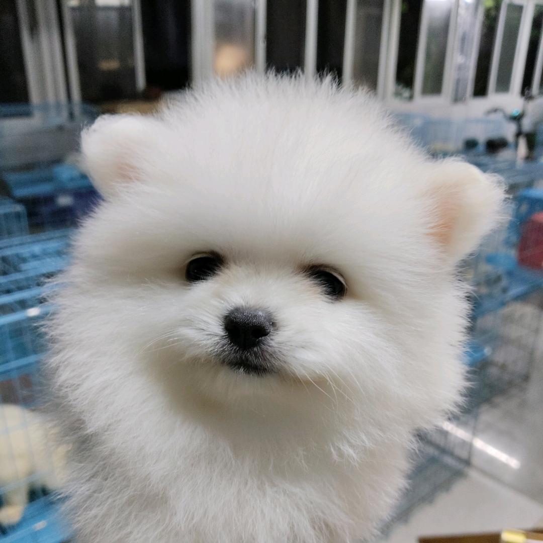 敏儿