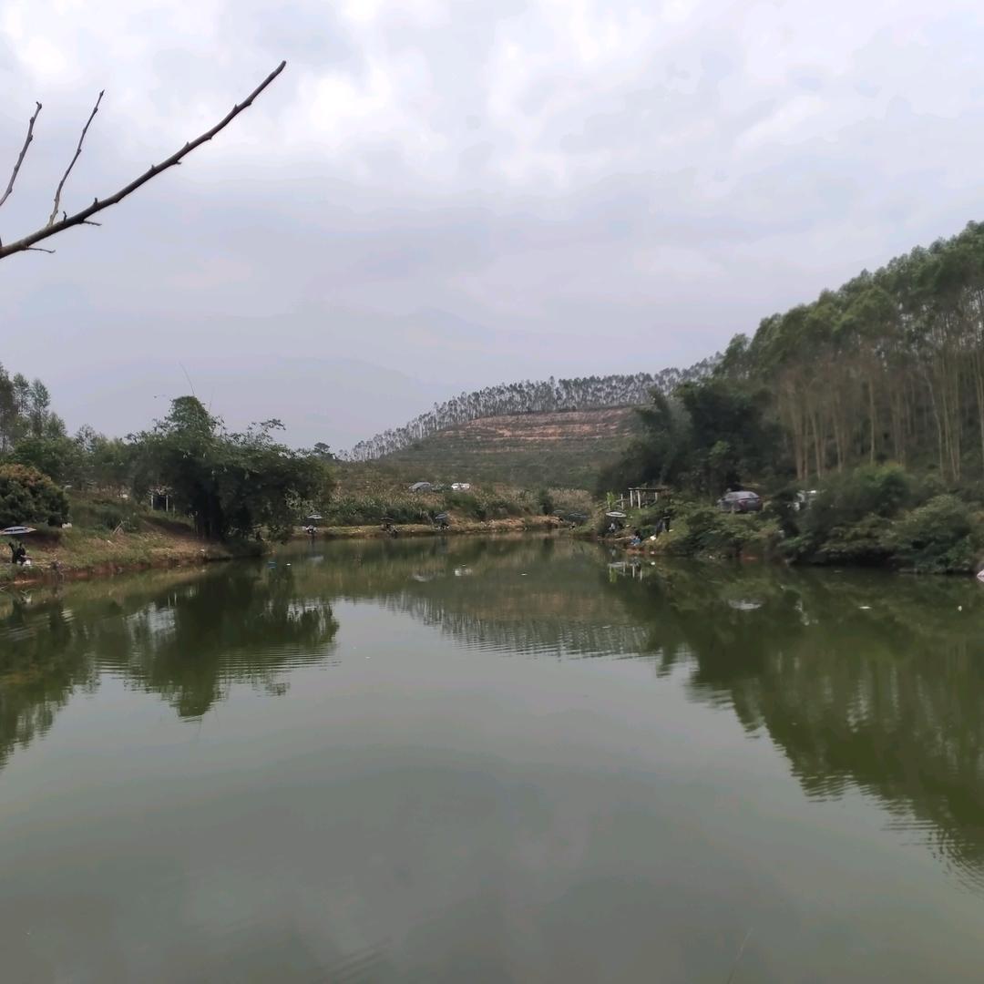 久隆山哥休闲钓鱼场