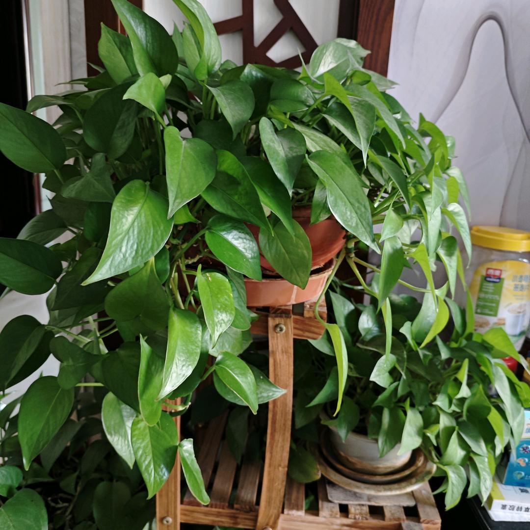 郝佳康，兰州市，老周