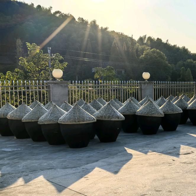 醴陵市康特食品有限公司