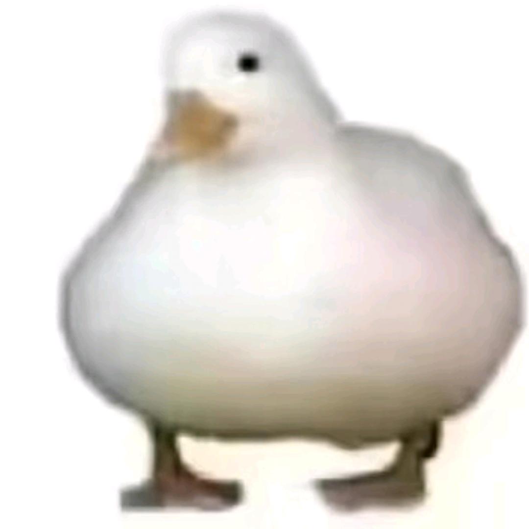 。？