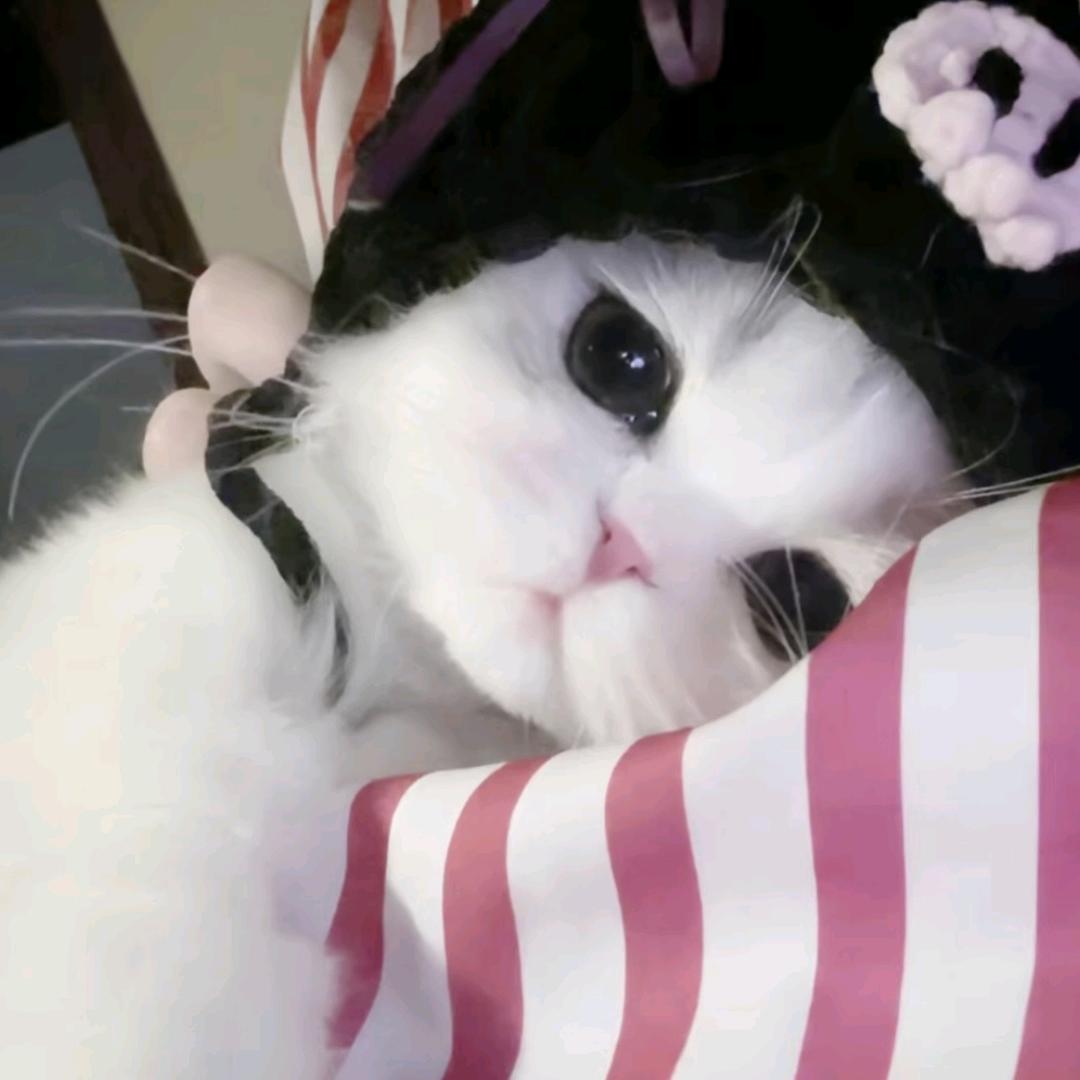 㫪柒