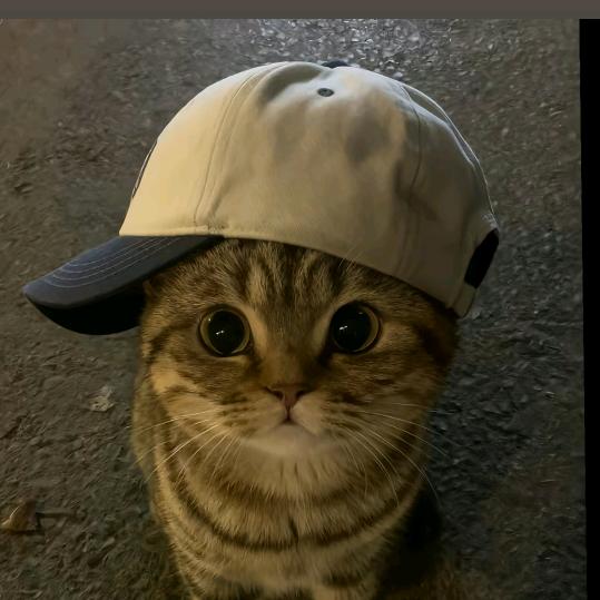 耶耶耶～