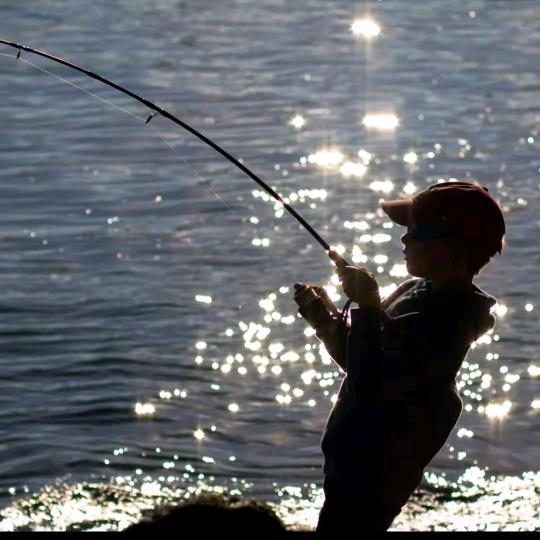 这个孽🥢（微物派🎣）