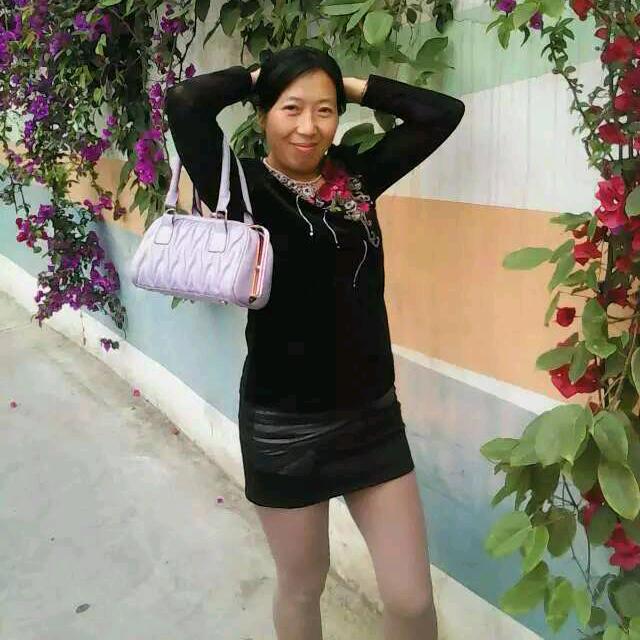 一支梅