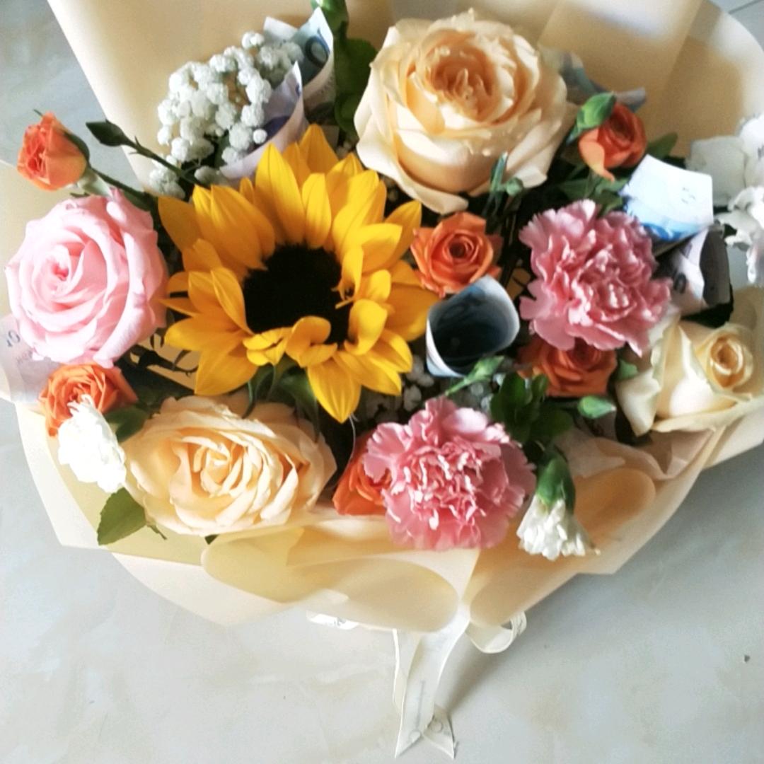 姚菊