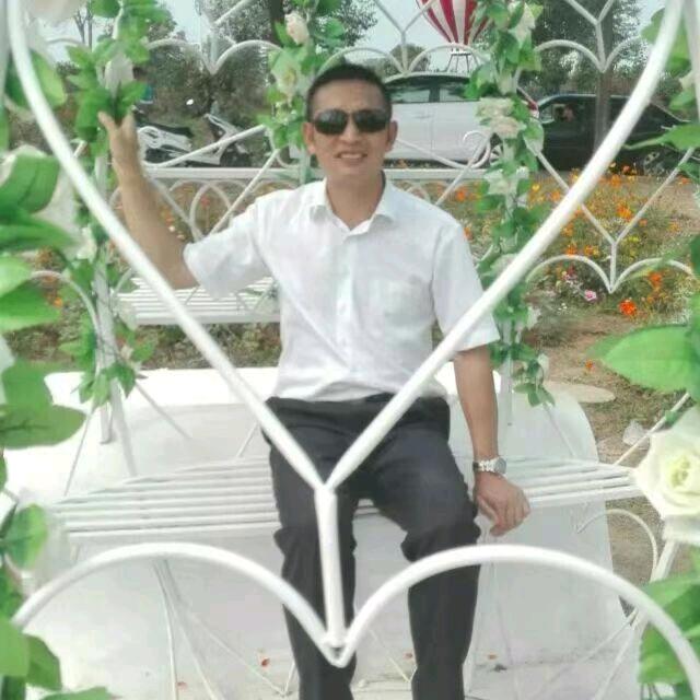精灵王子