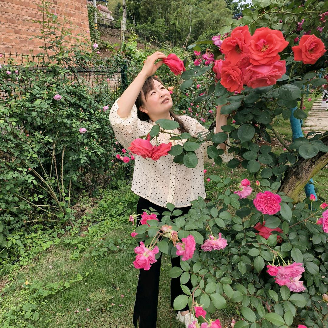 🦋ꦿ໊余生᭄🕊随心᭄ꦿᩚ٭