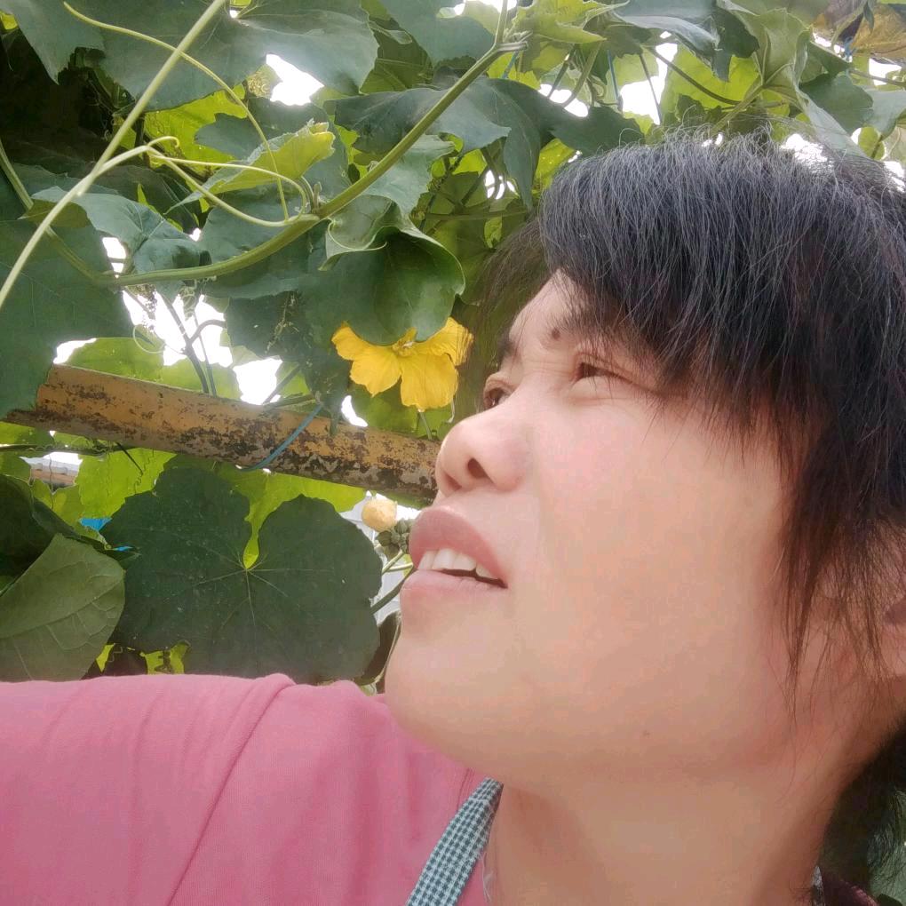 @云 -思念我天堂的父母