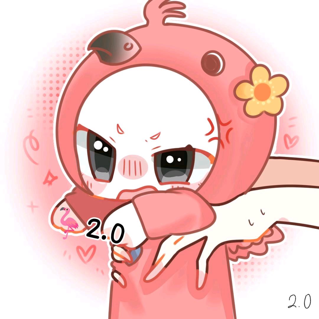 🦩2.0🐁（10.3生日版）