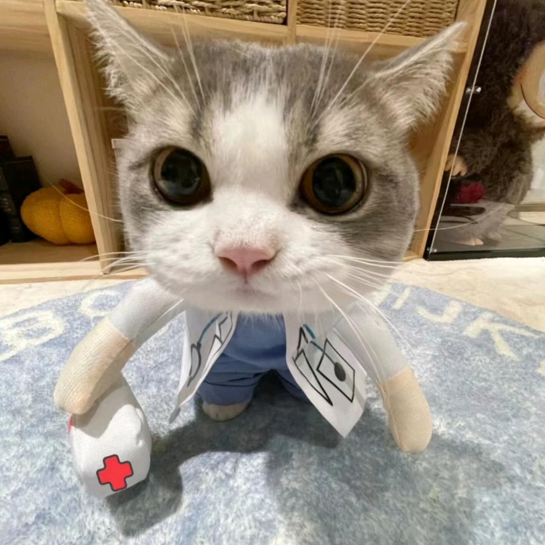 蔺
