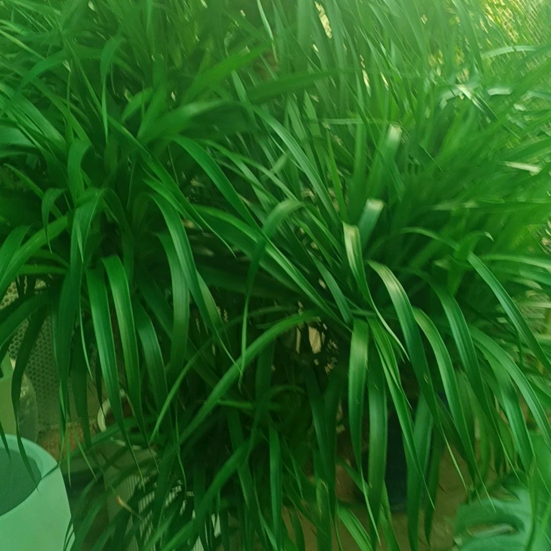 一哥电商