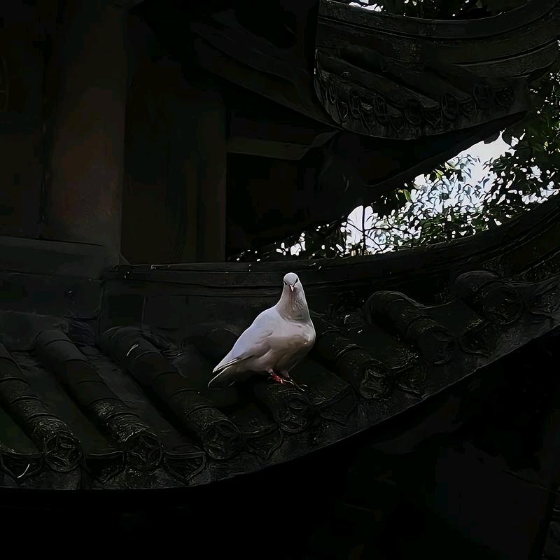 村民代表