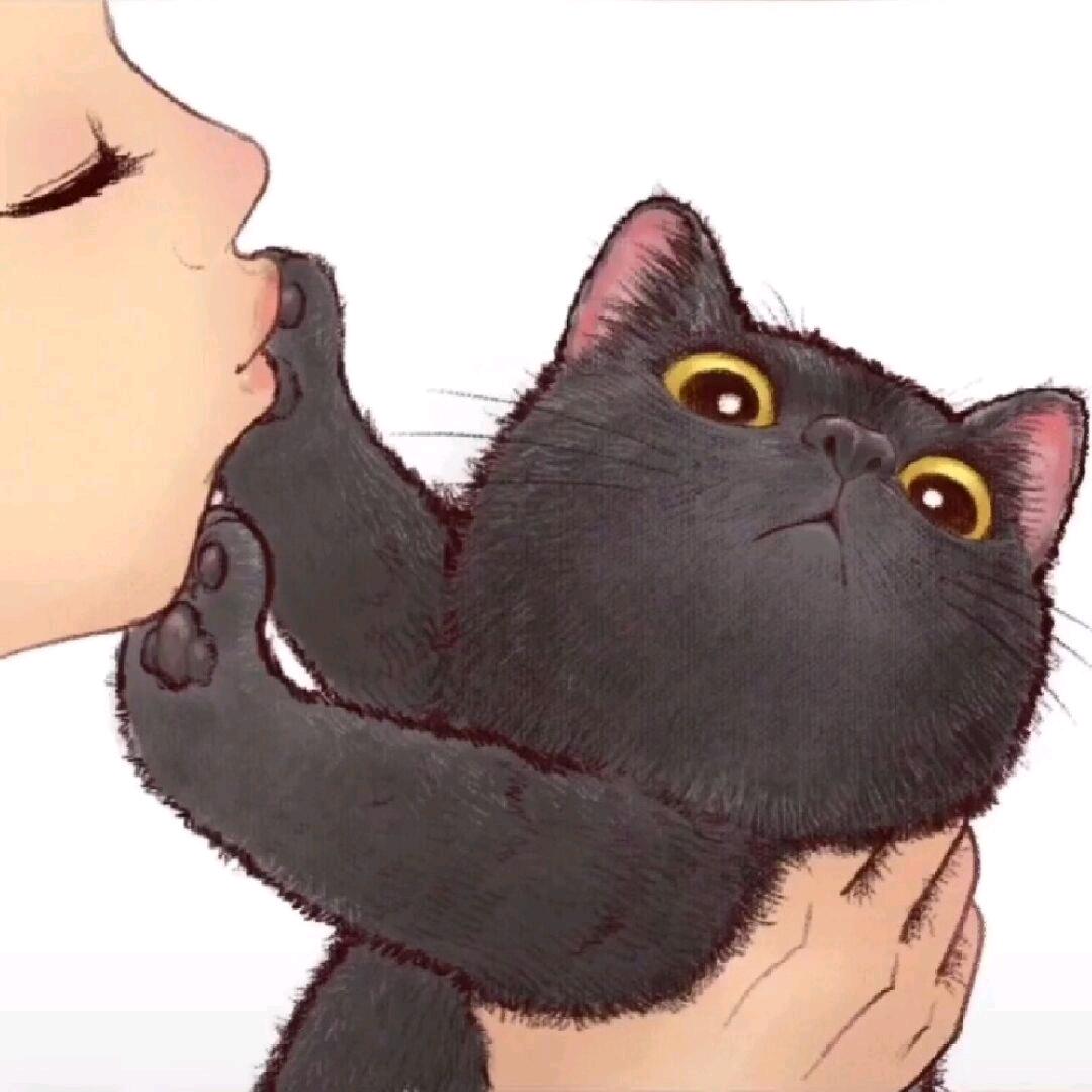 橘色的黑猫