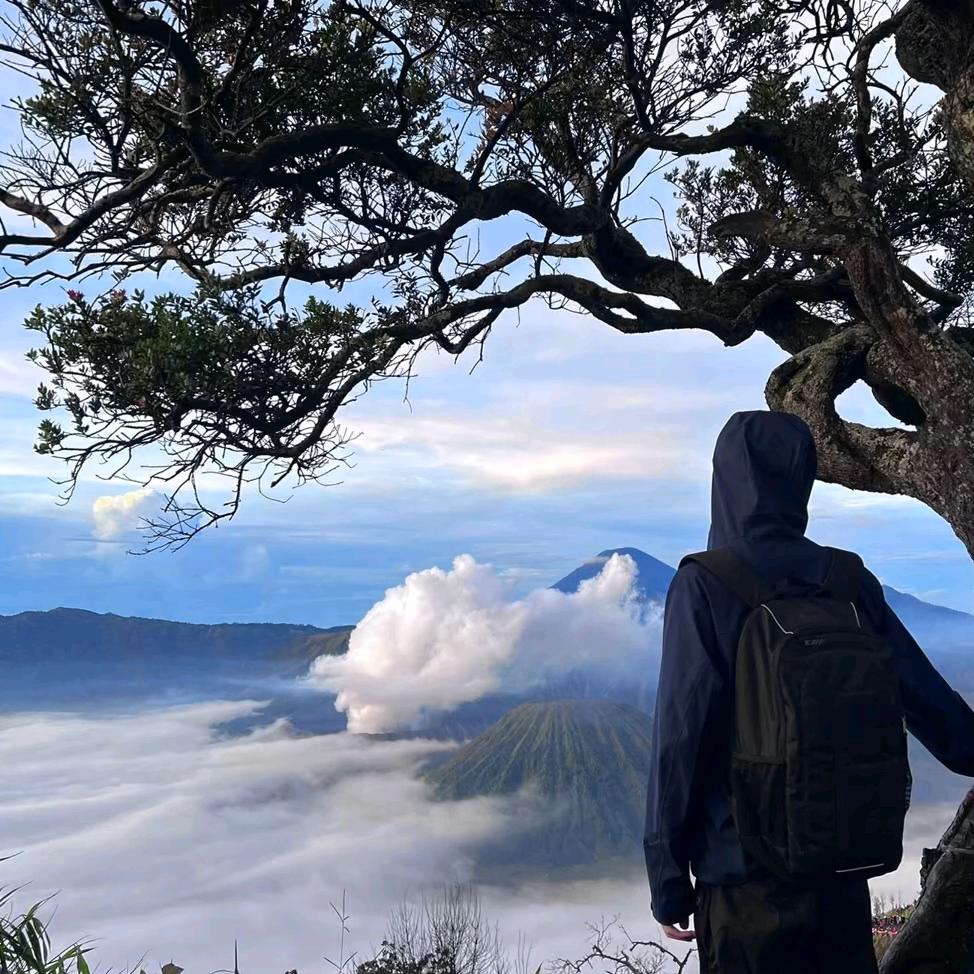 无名雨.(爱吃栗子版)