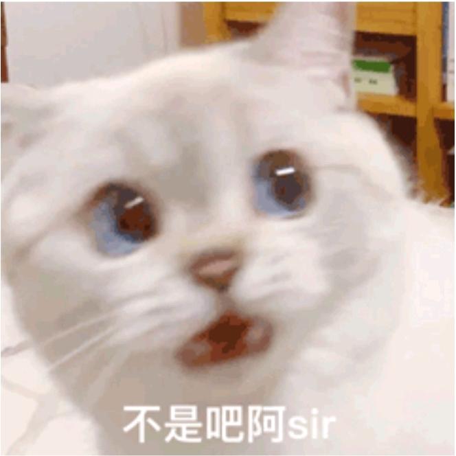 小张的张