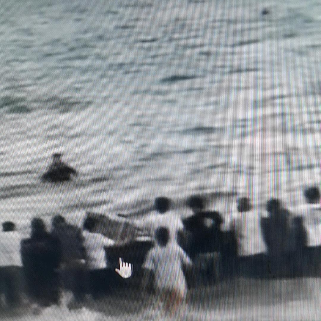 紫琼3434232号