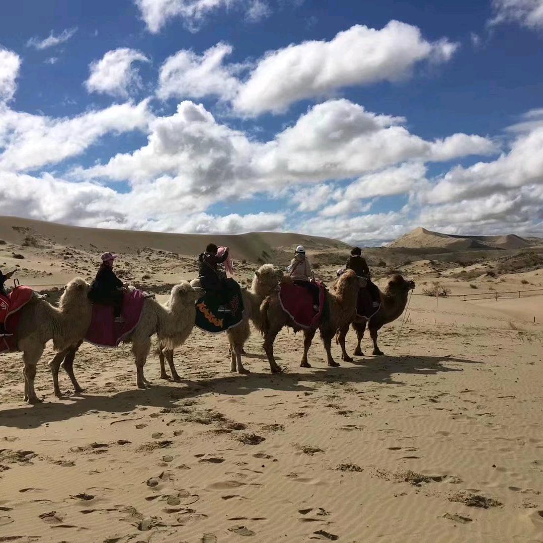 滕州烟花鞭炮-汽车租赁