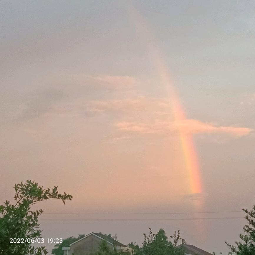 彩虹🌈首播筹备中