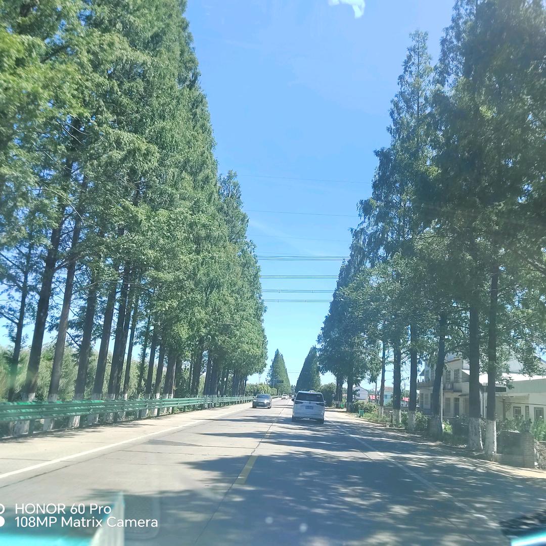 打工人