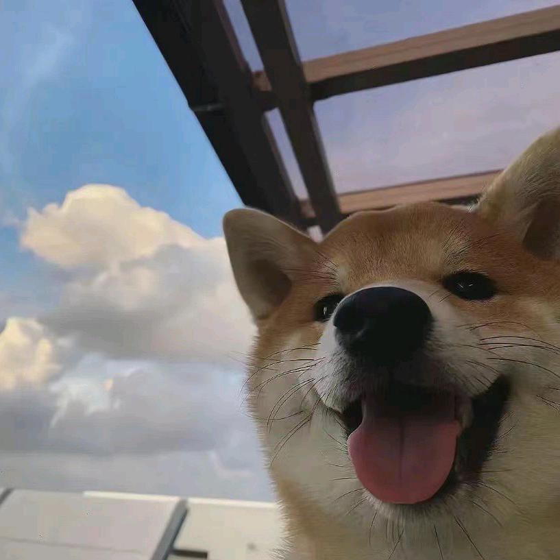 摸鱼侠（三角洲行动）