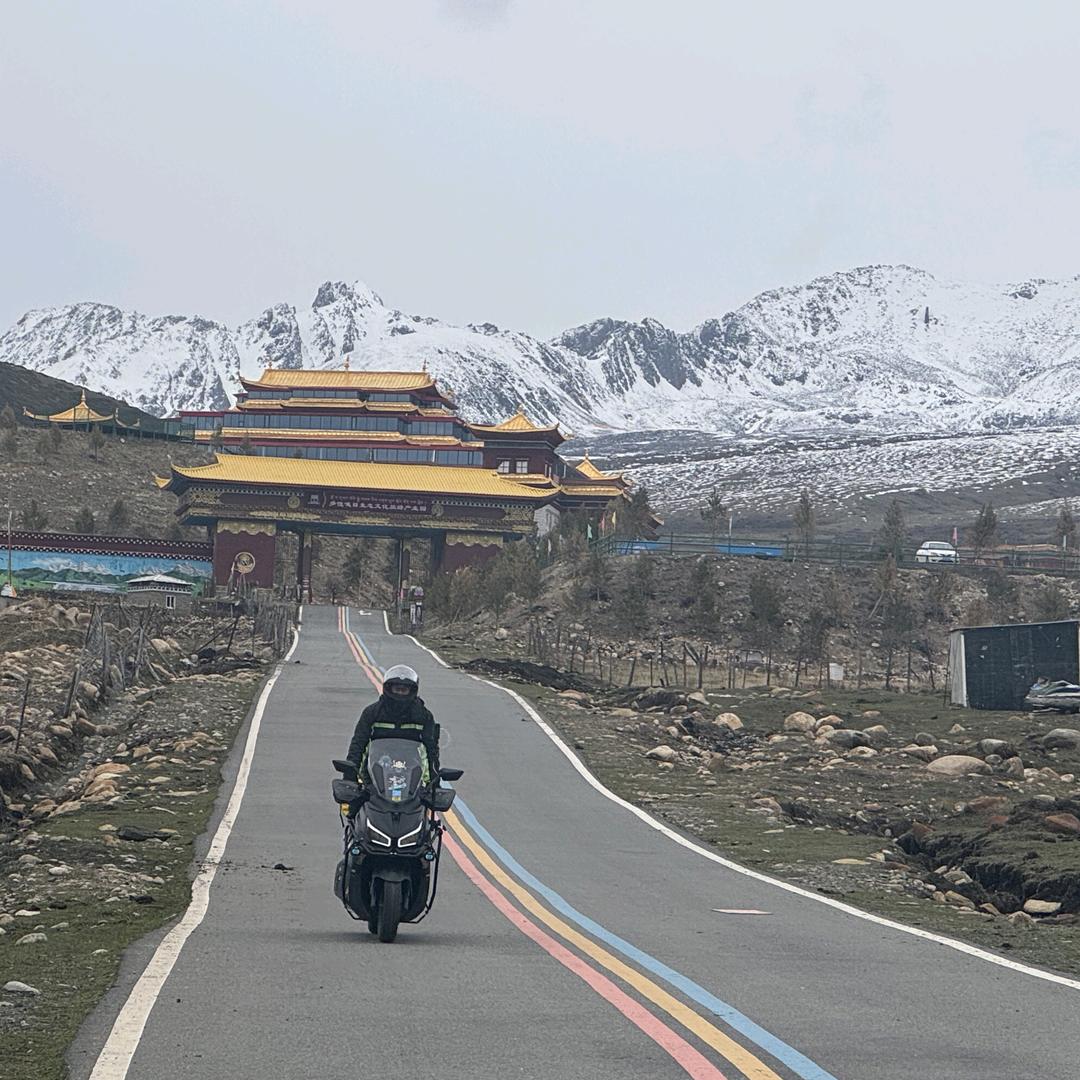🌈尼古拉斯
